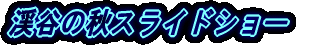 kJ̏HXChV[