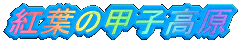 gt̍bq