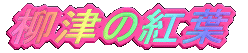 Â̍gt