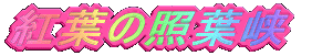 gt̏Ɨt