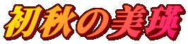 H̔l