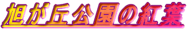 u̍gt