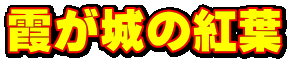 ̍gt