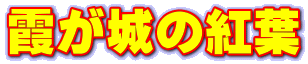 ̍gt