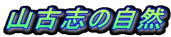 RÎu̎R