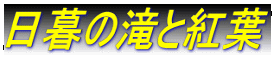 ̑ƍgt