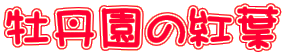O̍gt