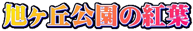 u̍gt 