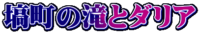 ̑ƃ_A