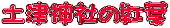 yÐ_Ђ̍gt