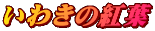 킫̍gt