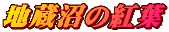 n̍gt