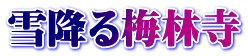 雪降る梅林寺