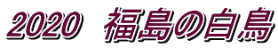 2020　福島の白鳥