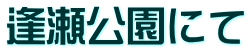 逢瀬公園にて