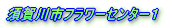 {st[Z^[P