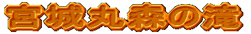 {ېX̑