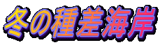 ~̎퍷C