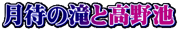 ҂̑ƍr