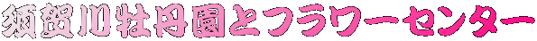 {쉲Oƃt[Z^[ 