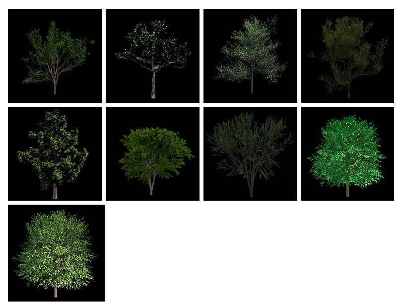 trees texture (OneDrive)