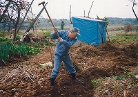 2001/11/kaikon1.jpg