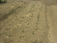 2002/02/RIM00009.jpg