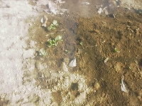 2002/03/RIM00010.jpg