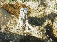 2002/03/RIM00012.jpg