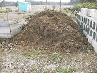 2002/03/taihi.jpg
