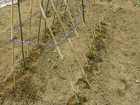 2002/05/ingen.jpg