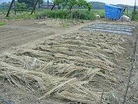 2002/05/warakake.jpg