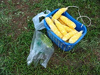 2002/08/818syukaku.jpg