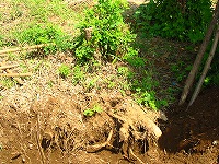 2002/09/921tyousen.jpg