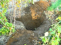 2002/10/1011toroato.jpg