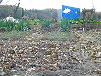 2002/11/1112tamanegibatake.jpg