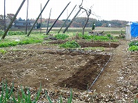 2002/11/1115tagayasu.jpg